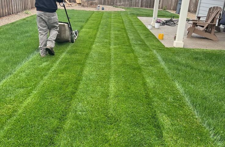 Lawn Maintenance in Calgary