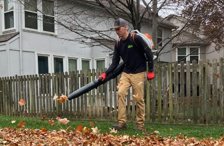 Lawn Maintenance in Calgary