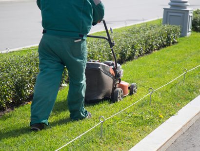 7 SERVICES(GRASS CUTTING)